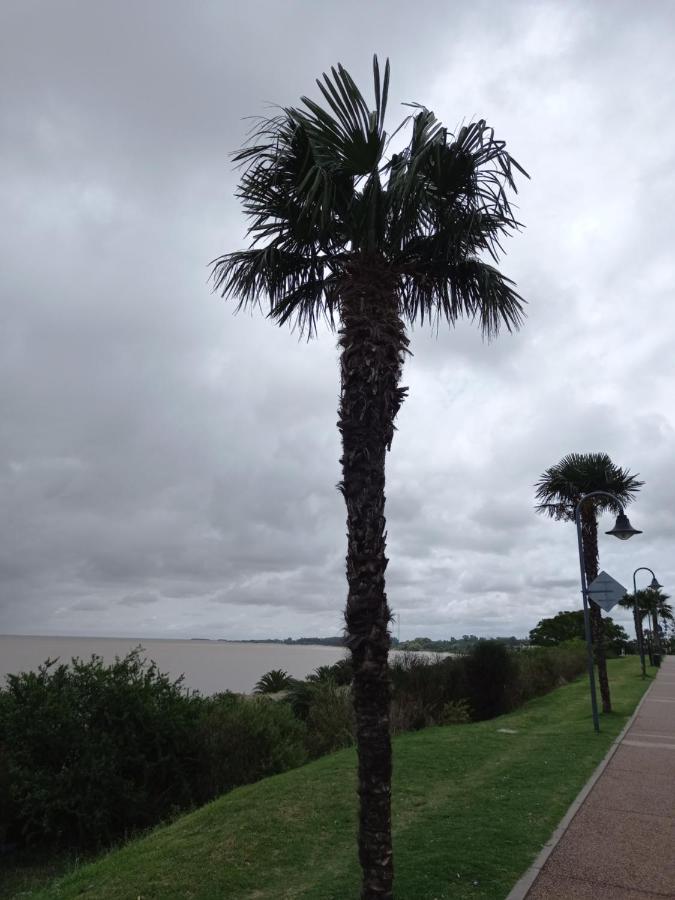 Monoambiente En Colonia Apartman Colonia del Sacramento Kültér fotó
